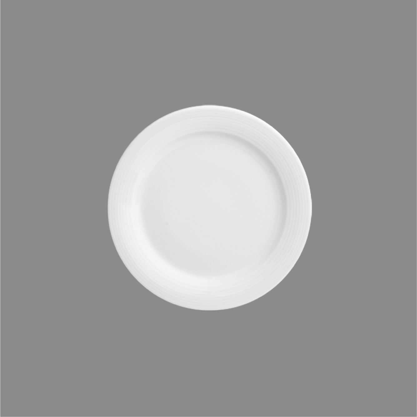 Dinner Plate