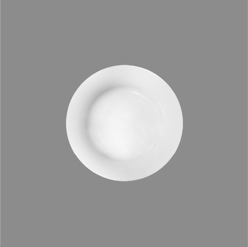 Dinner Plate