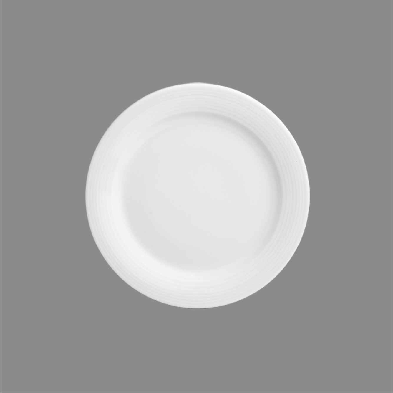 Dinner Plate